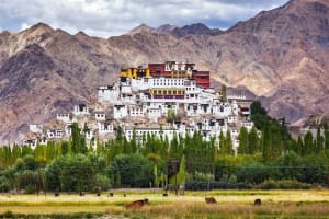 5 Indispensible Reasons That Make Ladakh A Travel-Priority This Summer!! 5 buddhist monastaries